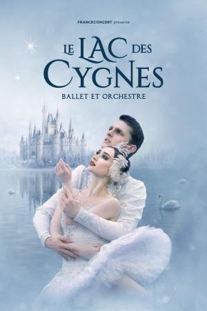 cygnes