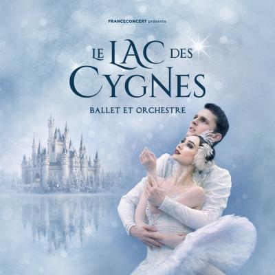 lac des cygnes 