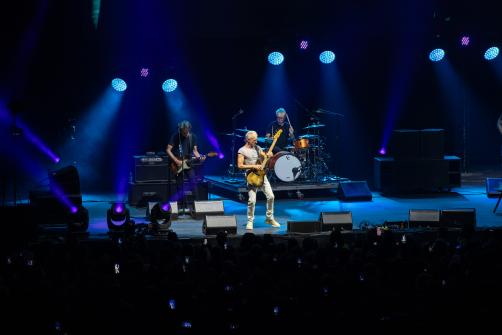 sting